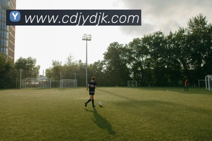 信誉好的平台APP 封面图