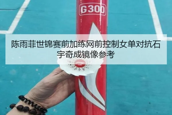 陈雨菲世锦赛前加练网前控制女单对抗石宇奇成镜像参考