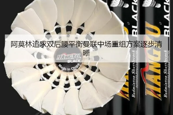 阿莫林追求双后腰平衡曼联中场重组方案逐步清晰